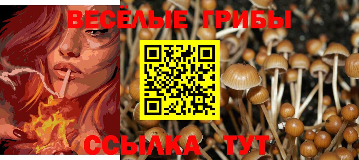 Галлюциногенные грибы мицелий Солнечногорск