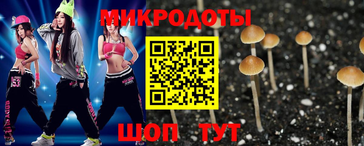 Галлюциногенные грибы прущие грибы  купить наркоту  Солнечногорск  Вход с VPN 